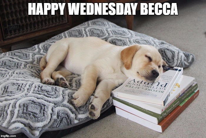 HAPPY WEDNESDAY BECCA | made w/ Imgflip meme maker