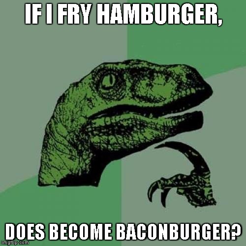 Philosoraptor | IF I FRY HAMBURGER, DOES BECOME BACONBURGER? | image tagged in memes,philosoraptor | made w/ Imgflip meme maker