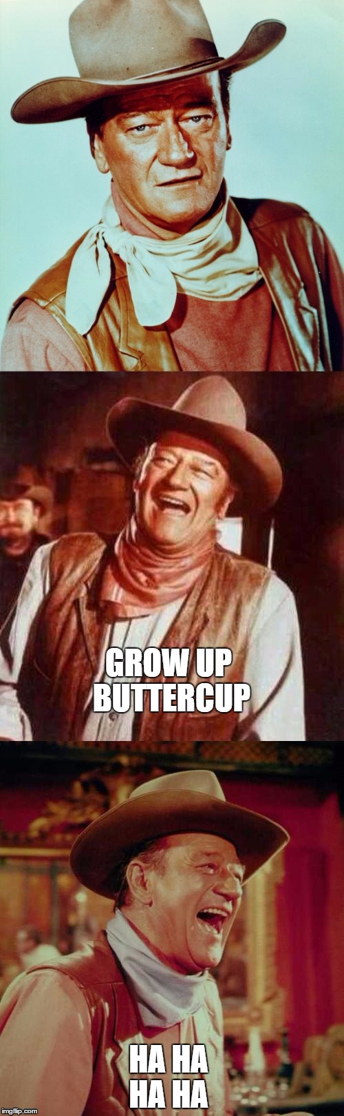 John Wayne Puns | GROW UP BUTTERCUP; HA HA HA HA | image tagged in john wayne puns | made w/ Imgflip meme maker