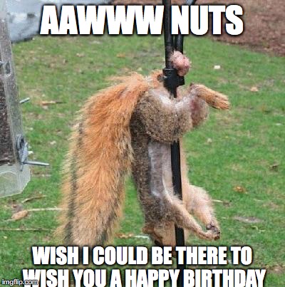 Happy Birthday Nuts | AAWWW NUTS; WISH I COULD BE THERE TO WISH YOU A HAPPY BIRTHDAY | image tagged in happy birthday nuts | made w/ Imgflip meme maker