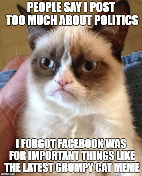 Grumpy Cat Meme | PEOPLE SAY I POST TOO MUCH ABOUT POLITICS; I FORGOT FACEBOOK WAS FOR IMPORTANT THINGS LIKE THE LATEST GRUMPY CAT MEME | image tagged in memes,grumpy cat | made w/ Imgflip meme maker