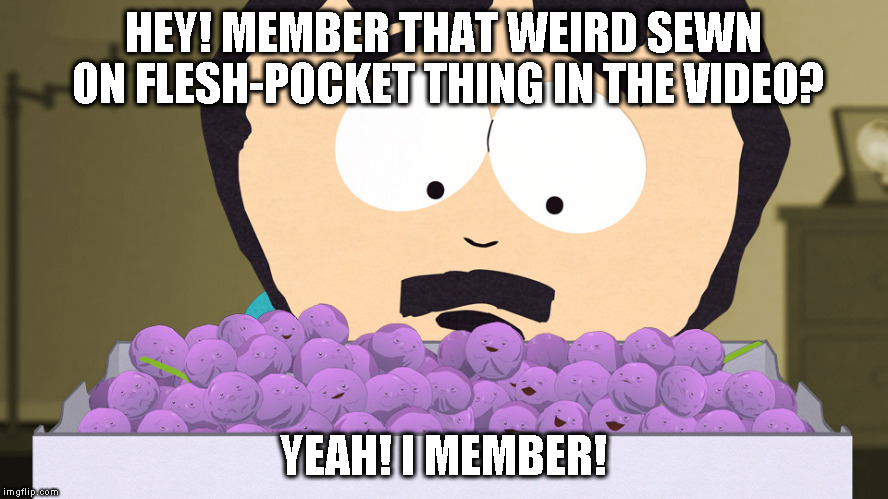 TW South Park Member Berries | HEY! MEMBER THAT WEIRD SEWN ON FLESH-POCKET THING IN THE VIDEO? YEAH! I MEMBER! | image tagged in tw south park member berries | made w/ Imgflip meme maker
