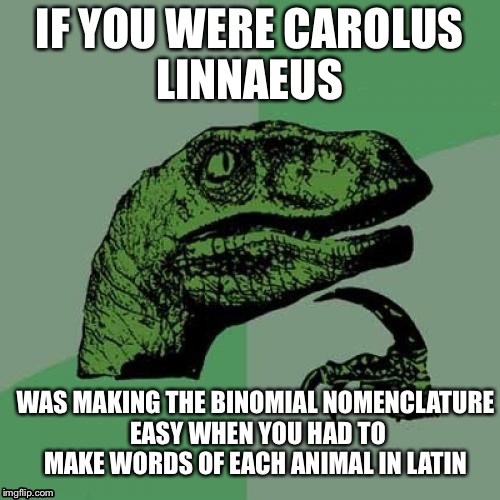 Philosoraptor | IF YOU WERE CAROLUS LINNAEUS; WAS MAKING THE BINOMIAL NOMENCLATURE EASY WHEN YOU HAD TO MAKE WORDS OF EACH ANIMAL IN LATIN | image tagged in memes,philosoraptor | made w/ Imgflip meme maker