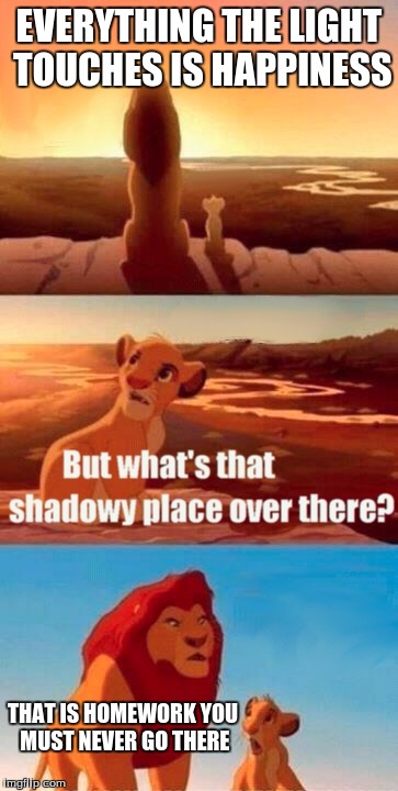 Simba Shadowy Place | EVERYTHING THE LIGHT TOUCHES IS HAPPINESS; THAT IS HOMEWORK YOU MUST NEVER GO THERE | image tagged in memes,simba shadowy place | made w/ Imgflip meme maker