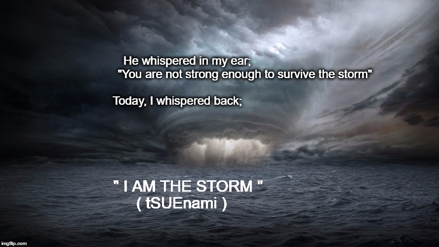 Perfect Storm | He whispered in my ear;                                   "You are not strong enough to survive the storm"                                                          Today, I whispered back;; " I AM THE STORM "                                          ( tSUEnami ) | image tagged in perfect storm | made w/ Imgflip meme maker