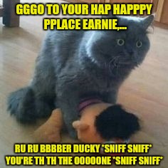 GGGO TO YOUR HAP HAPPPY PPLACE EARNIE,... RU RU BBBBER DUCKY *SNIFF SNIFF* YOU'RE TH TH THE OOOOONE *SNIFF SNIFF* | made w/ Imgflip meme maker
