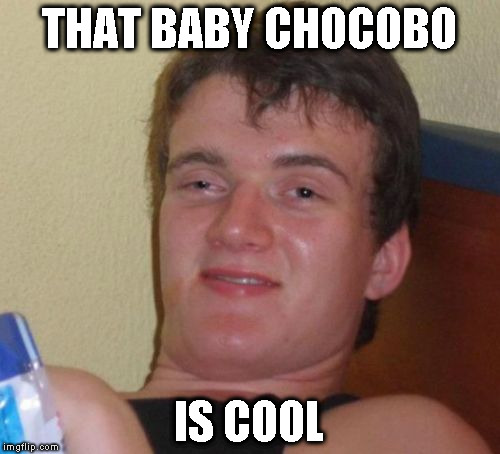 10 Guy Meme | THAT BABY CHOCOBO IS COOL | image tagged in memes,10 guy | made w/ Imgflip meme maker