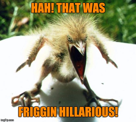 Angry bird | HAH! THAT WAS FRIGGIN HILLARIOUS! | image tagged in angry bird | made w/ Imgflip meme maker