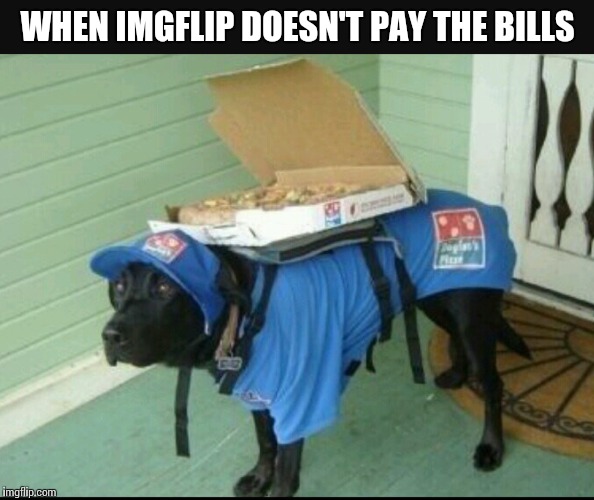 Extra toppings on this one | WHEN IMGFLIP DOESN'T PAY THE BILLS | image tagged in memes | made w/ Imgflip meme maker