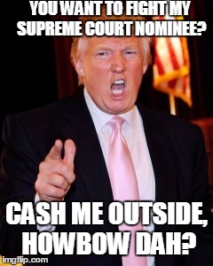 Donald Trump | YOU WANT TO FIGHT MY SUPREME COURT NOMINEE? CASH ME OUTSIDE, HOWBOW DAH? | image tagged in donald trump | made w/ Imgflip meme maker