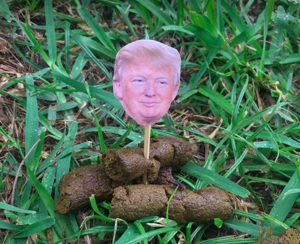 High Quality Trump poop Blank Meme Template