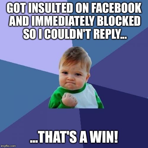Success Kid Meme | GOT INSULTED ON FACEBOOK AND IMMEDIATELY BLOCKED SO I COULDN'T REPLY... ...THAT'S A WIN! | image tagged in memes,success kid | made w/ Imgflip meme maker