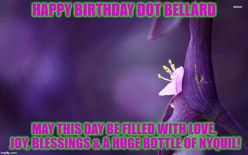 Violet  | HAPPY BIRTHDAY DOT BELLARD; MAY THIS DAY BE FILLED WITH LOVE, JOY, BLESSINGS & A HUGE BOTTLE OF NYQUIL! | image tagged in violet | made w/ Imgflip meme maker