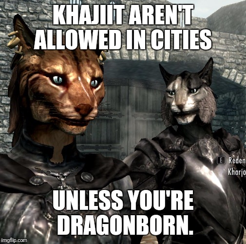 Khajiit Dragonborn | KHAJIIT AREN'T ALLOWED IN CITIES; UNLESS YOU'RE DRAGONBORN. | image tagged in khajiit dragonborn | made w/ Imgflip meme maker