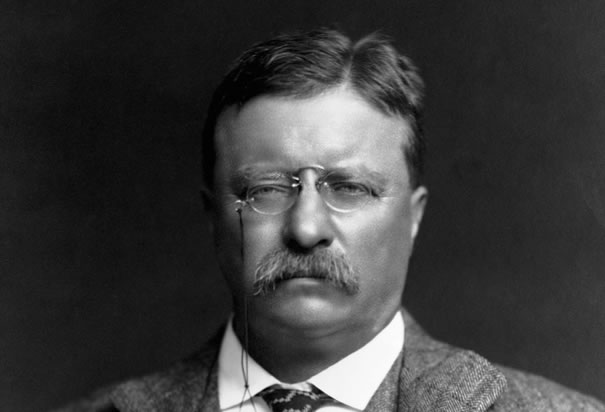 Serious Teddy Roosevelt Blank Meme Template