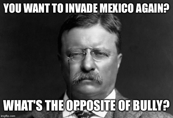 Invade Mexico Again? | YOU WANT TO INVADE MEXICO AGAIN? WHAT'S THE OPPOSITE OF BULLY? | image tagged in serious teddy roosevelt,memes,teddy roosevelt,mexico | made w/ Imgflip meme maker
