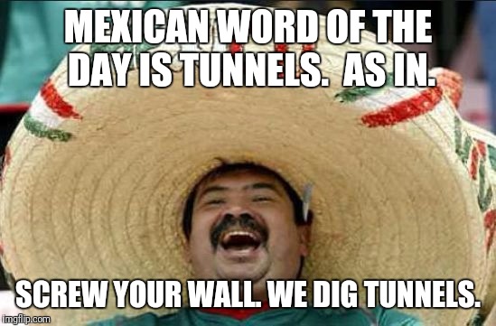 mexican word of the day | MEXICAN WORD OF THE DAY IS TUNNELS.  AS IN. SCREW YOUR WALL. WE DIG TUNNELS. | image tagged in mexican word of the day | made w/ Imgflip meme maker