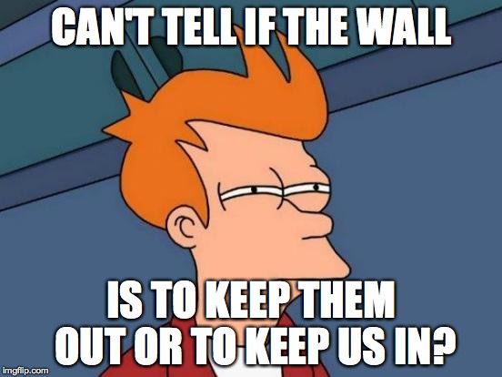 Futurama Fry | CAN'T TELL IF THE WALL; IS TO KEEP THEM OUT OR TO KEEP US IN? | image tagged in memes,futurama fry | made w/ Imgflip meme maker