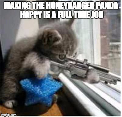 cats with guns | MAKING THE HONEYBADGER PANDA HAPPY IS A FULL TIME JOB | image tagged in cats with guns | made w/ Imgflip meme maker
