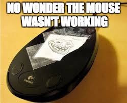 NO WONDER THE MOUSE WASN'T WORKING | image tagged in troll on a mouse | made w/ Imgflip meme maker
