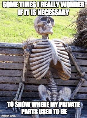 Waiting Skeleton | SOME TIMES I REALLY WONDER IF IT IS NECESSARY; TO SHOW WHERE MY PRIVATE PARTS USED TO BE | image tagged in memes,waiting skeleton | made w/ Imgflip meme maker