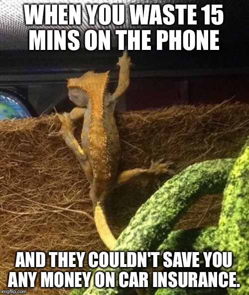 Lizard  | WHEN YOU WASTE 15 MINS ON THE PHONE; AND THEY COULDN'T SAVE YOU ANY MONEY ON CAR INSURANCE. | image tagged in lizard | made w/ Imgflip meme maker