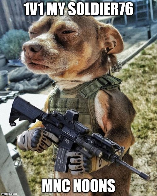 assault dog | 1V1 MY SOLDIER76; MNC NOONS | image tagged in assault dog | made w/ Imgflip meme maker