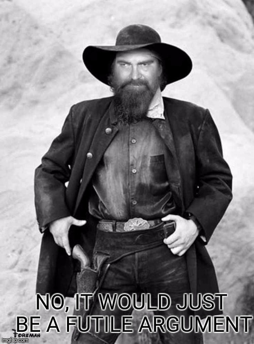 Swiggy gunslinger | NO, IT WOULD JUST BE A FUTILE ARGUMENT | image tagged in swiggy gunslinger | made w/ Imgflip meme maker