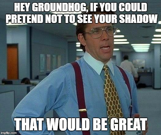 That Would Be Great | HEY GROUNDHOG, IF YOU COULD PRETEND NOT TO SEE YOUR SHADOW; THAT WOULD BE GREAT | image tagged in memes,that would be great | made w/ Imgflip meme maker