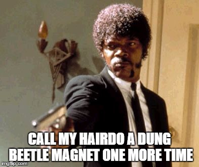 Say That Again I Dare You Meme | CALL MY HAIRDO A DUNG BEETLE MAGNET ONE MORE TIME | image tagged in memes,say that again i dare you | made w/ Imgflip meme maker