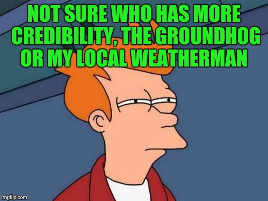 Futurama Fry | NOT SURE WHO HAS MORE CREDIBILITY, THE GROUNDHOG OR MY LOCAL WEATHERMAN | image tagged in memes,futurama fry | made w/ Imgflip meme maker