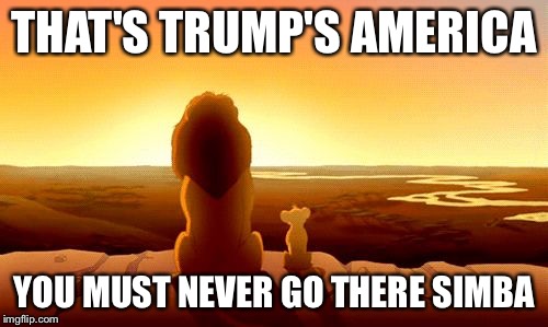 Trump's America | THAT'S TRUMP'S AMERICA; YOU MUST NEVER GO THERE SIMBA | image tagged in trump's america | made w/ Imgflip meme maker