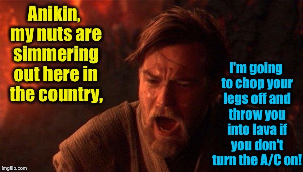 Anikin, my nuts are simmering out here in the country, I'm going to chop your legs off and throw you into lava if you don't turn the A/C on! | made w/ Imgflip meme maker