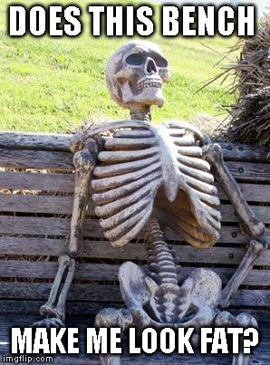 Waiting Skeleton Meme | DOES THIS BENCH; MAKE ME LOOK FAT? | image tagged in memes,waiting skeleton | made w/ Imgflip meme maker