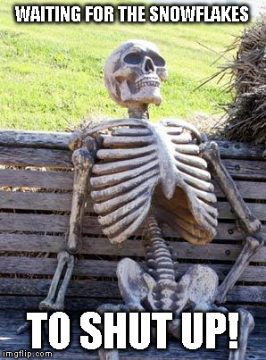 Waiting Skeleton Meme | WAITING FOR THE SNOWFLAKES; TO SHUT UP! | image tagged in memes,waiting skeleton | made w/ Imgflip meme maker