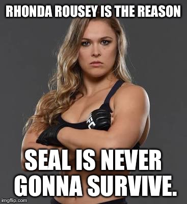 rhonda rousey | RHONDA ROUSEY IS THE REASON; SEAL IS NEVER GONNA SURVIVE. | image tagged in rhonda rousey | made w/ Imgflip meme maker