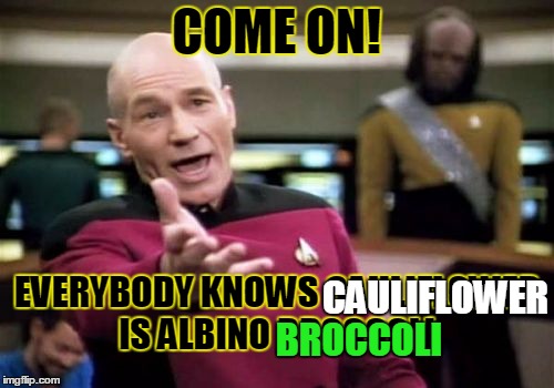 Picard Wtf Meme | COME ON! EVERYBODY KNOWS CAULIFLOWER IS ALBINO BROCCOLI CAULIFLOWER BROCCOLI | image tagged in memes,picard wtf | made w/ Imgflip meme maker