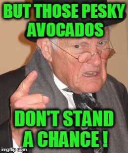 Back In My Day Meme | BUT THOSE PESKY AVOCADOS DON'T STAND A CHANCE ! | image tagged in memes,back in my day | made w/ Imgflip meme maker
