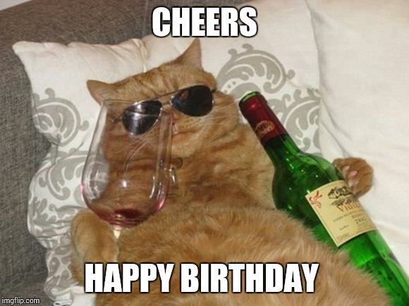 Funny Cat Birthday | CHEERS; HAPPY BIRTHDAY | image tagged in funny cat birthday | made w/ Imgflip meme maker