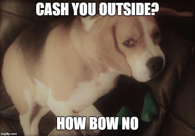 CASH ME OUTSIDE | CASH YOU OUTSIDE? HOW BOW NO | image tagged in cash me ousside how bow dah,joeythebeagleboss,bealge,joey,fat,lazy | made w/ Imgflip meme maker