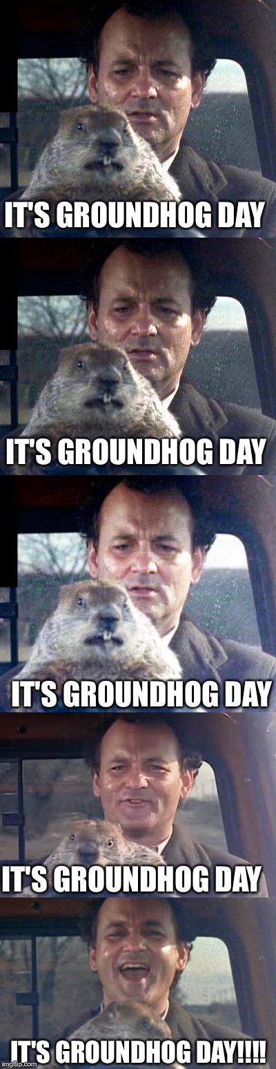 Happy groundhog day | IT'S GROUNDHOG DAY; IT'S GROUNDHOG DAY; IT'S GROUNDHOG DAY; IT'S GROUNDHOG DAY; IT'S GROUNDHOG DAY!!!! | image tagged in groundhog day | made w/ Imgflip meme maker