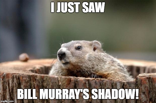 Groundhog | I JUST SAW; BILL MURRAY'S SHADOW! | image tagged in groundhog | made w/ Imgflip meme maker