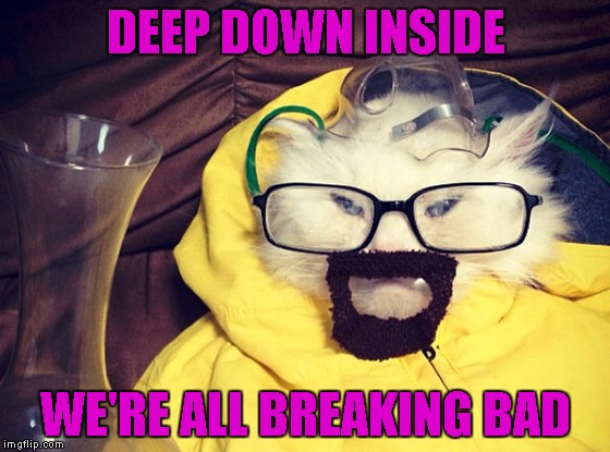 I may have to binge watch Breaking Bad one of these days. | DEEP DOWN INSIDE; WE'RE ALL BREAKING BAD | image tagged in cat breaking bad,memes,funny,breaking bad,cats,funny cats | made w/ Imgflip meme maker