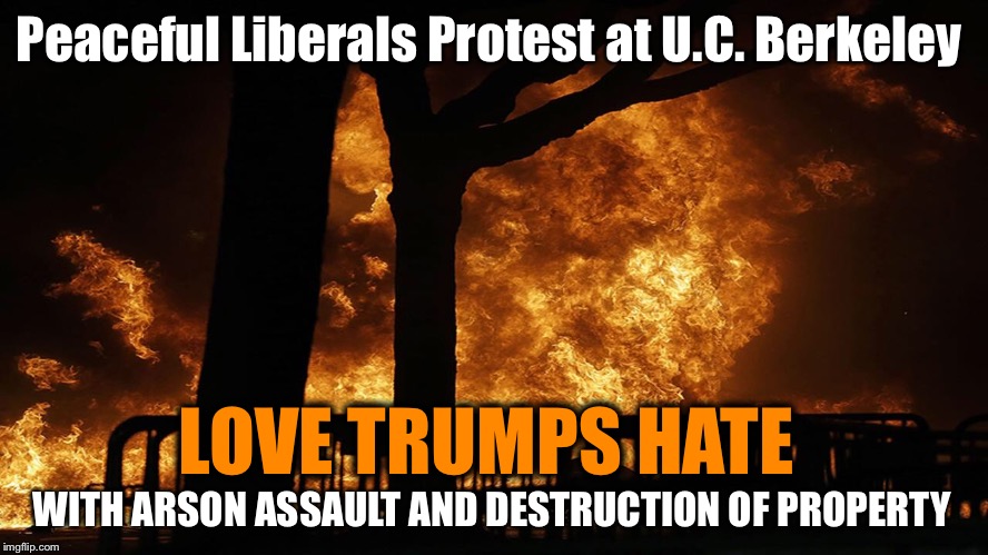 Liberal Free Speech | Peaceful Liberals Protest at U.C. Berkeley; LOVE TRUMPS HATE; WITH ARSON ASSAULT AND DESTRUCTION OF PROPERTY | image tagged in liberals,protest,blm,george soros,left wing,political meme | made w/ Imgflip meme maker