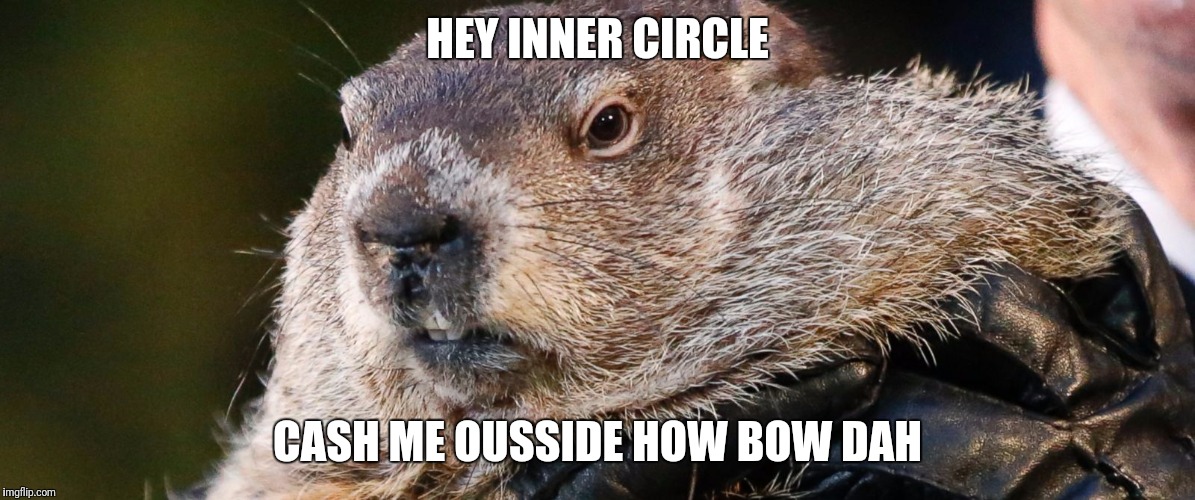 Phil | HEY INNER CIRCLE; CASH ME OUSSIDE
HOW BOW DAH | image tagged in punxsutawney phil | made w/ Imgflip meme maker