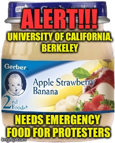 Baby food | ALERT!!! UNIVERSITY OF CALIFORNIA, BERKELEY; NEEDS EMERGENCY FOOD FOR PROTESTERS | image tagged in baby food | made w/ Imgflip meme maker