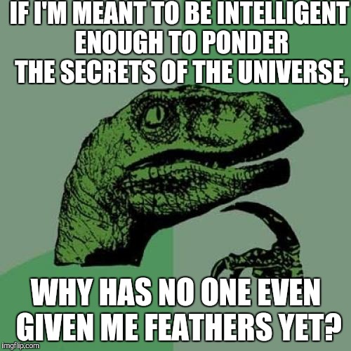 Why no feathers? | IF I'M MEANT TO BE INTELLIGENT ENOUGH TO PONDER THE SECRETS OF THE UNIVERSE, WHY HAS NO ONE EVEN GIVEN ME FEATHERS YET? | image tagged in memes,philosoraptor | made w/ Imgflip meme maker