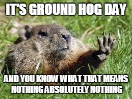 ground hog | IT'S GROUND HOG DAY; AND YOU KNOW WHAT THAT MEANS NOTHING ABSOLUTELY NOTHING | image tagged in ground hog | made w/ Imgflip meme maker