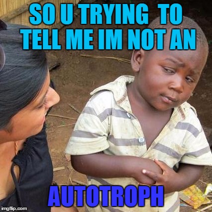Third World Skeptical Kid Meme | SO U TRYING  TO TELL ME IM NOT AN; AUTOTROPH | image tagged in memes,third world skeptical kid | made w/ Imgflip meme maker