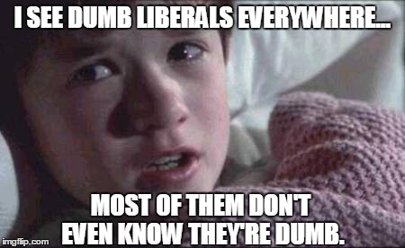 Everywhere!!! |  I SEE DUMB LIBERALS EVERYWHERE... MOST OF THEM DON'T EVEN KNOW THEY'RE DUMB. | image tagged in memes,i see dead people | made w/ Imgflip meme maker
